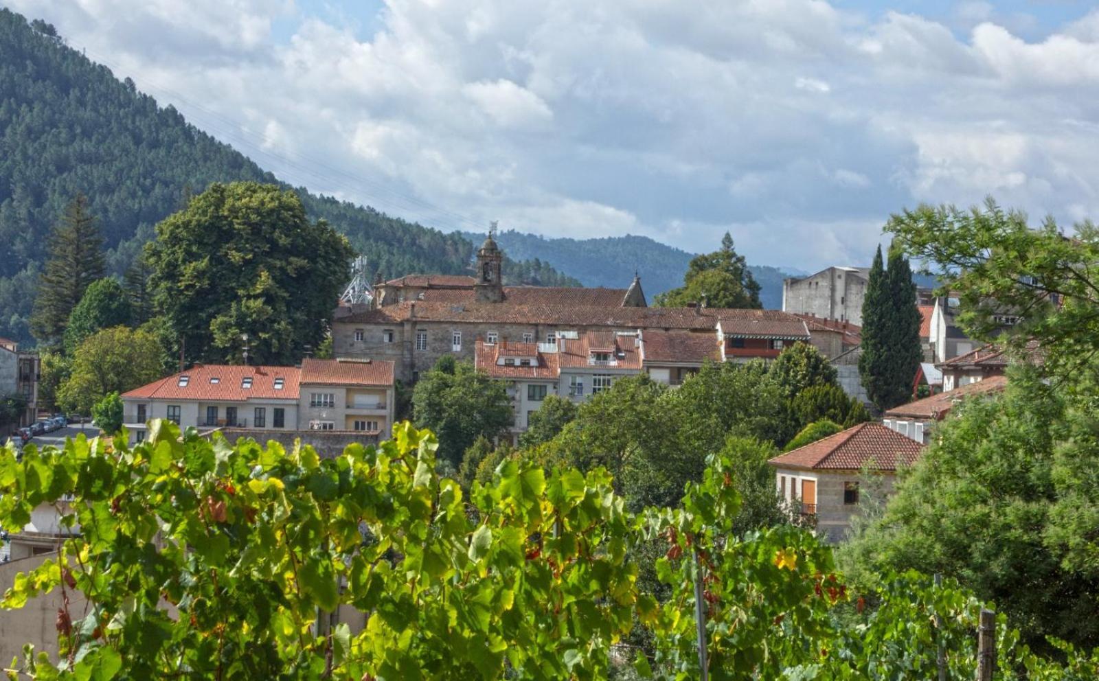 Casa Ribeiro 1 Διαμέρισμα Ribadavia Εξωτερικό φωτογραφία